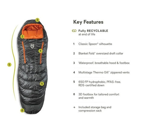 Disco Men's  Down Sleeping Bag 30 - Long